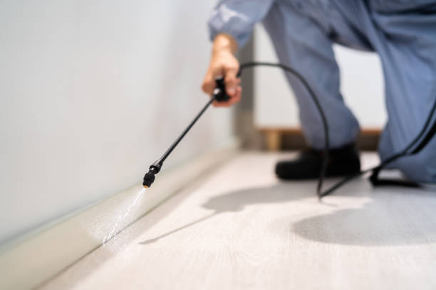 Licensed Rodent Control service in Coleytown, CT - Nex Pest Control