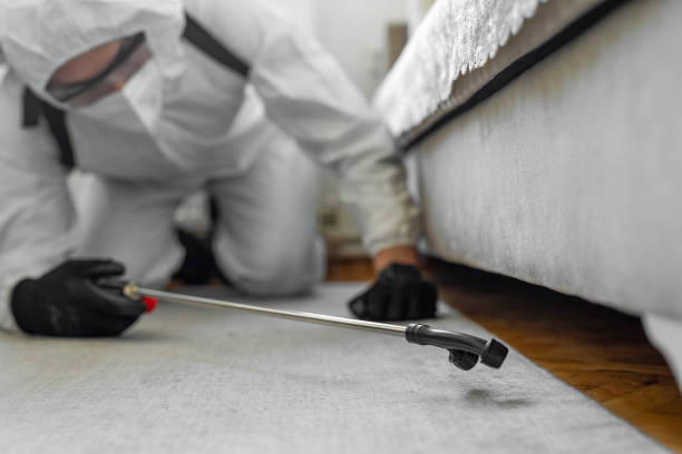 Professional Rodent Control technician working in Coleytown, CT