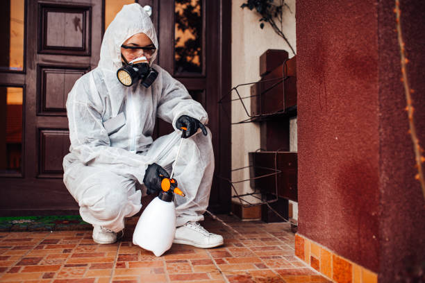 Reliable Rodent Control contractor in Coleytown, CT by Nex Pest Control
